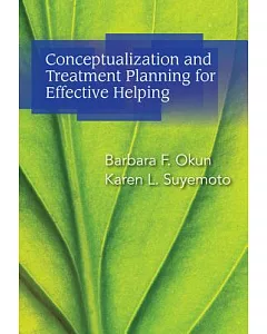 Conceptualization and Treatment Planning for Effective Helping