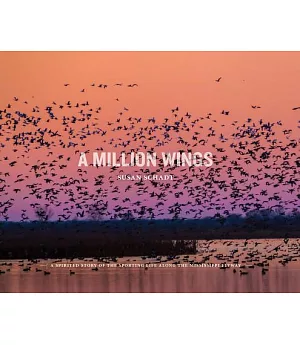 A Million Wings