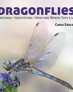 Dragonflies: Catching - Identifying - How and Where They Live