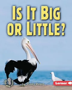 Is It Big or Little?
