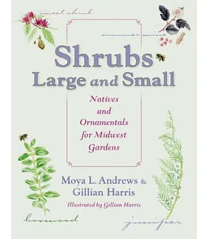 Shrubs Large and Small: Natives and Ornamentals for Midwest Gardens