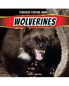 Wolverines