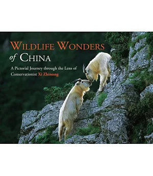 Wildlife Wonders of China: A Pictorial Journey Through the Lens of Conservationist Xi Zhinong