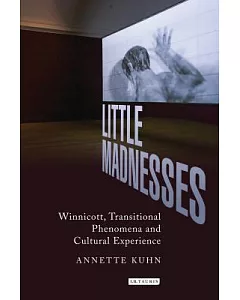 Little Madnesses: Winnicott, Transitional Phenomena and Cultural Experience