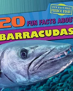 20 Fun Facts About Barracudas