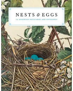 Nests & Eggs Notecards