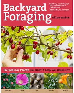 Backyard Foraging: 65 Familiar Plants You Didn’t Know You Could Eat