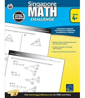 Singapore Math Challenge, Grade 4+