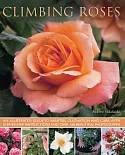 Climbing Roses: An Illustrated Guide to Varieties, Cultivation and Care, With Step-By-Step Instructions and Over 160 Beautiful P