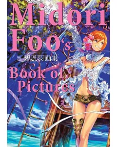 Midori foo’s Book of Pictures