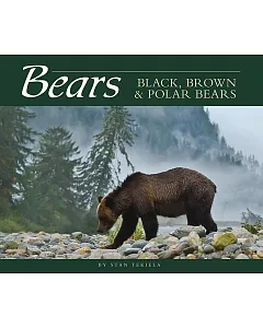 Bears: Black, Brown & Polar Bears