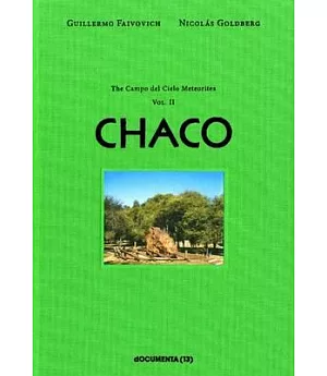 Guillermo Faivovich & Nicolas Goldberg: The Camp Del Cielo Meteorites: Chaco
