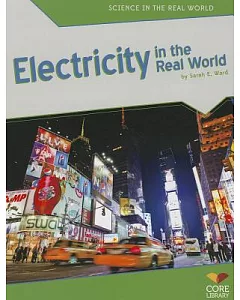 Electricity in the Real World