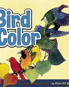 Bird Color