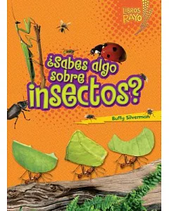 ¿Sabes algo sobre insectos?/ Do You Know about Insects?