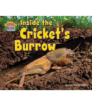 Inside the Cricket’s Burrow
