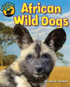 African Wild Dogs