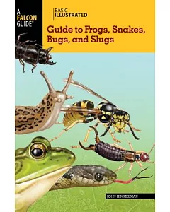 Basic Illustrated Guide to Frogs, Snakes, Bugs, and Slugs