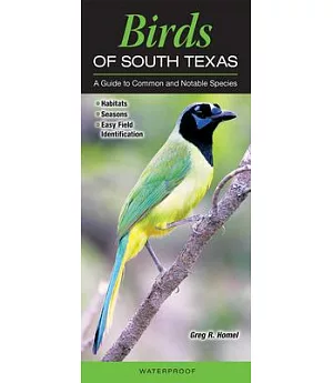 Birds of South Texas Including the Lower Rio Grande Valley: A Guide to Common and Notable Species