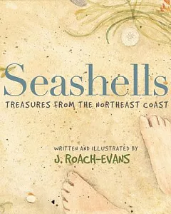 Seashells: Treasures from the Northeast Coast
