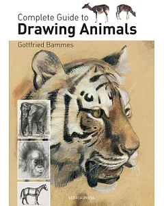 Complete Guide to Drawing Animals