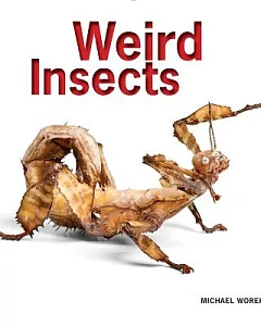 Weird Insects