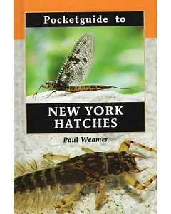 Pocketguide to New York Hatches
