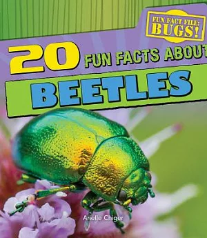 20 Fun Facts About Beetles