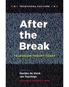 After Break: Television Theory Today