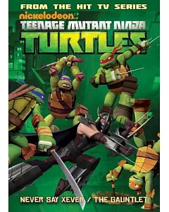 Teenage Mutant Ninja Turtles Animated 2: New Friend, Old Enemy