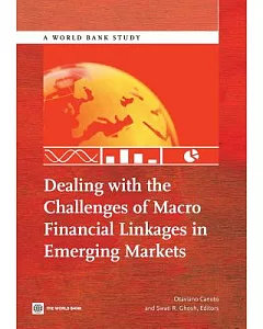 Dealing With the Challenges of Macro Financial Linkages in Emerging Markets