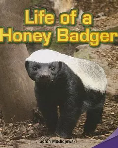 Life of a Honey Badger
