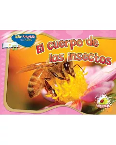 El cuerpo de los insectos / Insect’s Body