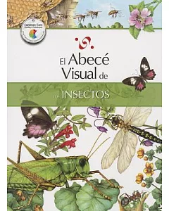 El abece visual de los insectos / The Illustrated Basics of Insects