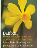 Daffodil: The Remarkable Story of the World’s Most Popular Spring Flower