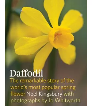 Daffodil: The Remarkable Story of the World’s Most Popular Spring Flower