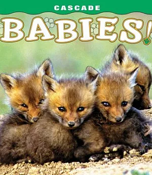 Cascade Babies