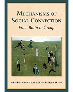Mechanisms of Social Connection: From Brain to Group