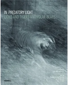 In Predatory Light: Lions and Tigers and Polar Bears