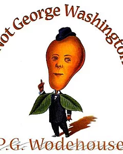 Not George Washington: An Autobiographical Novel