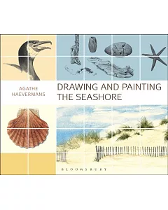 Drawing and Painting the Seashore