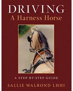 Driving a Harness Horse: A Step-by-Step Guide