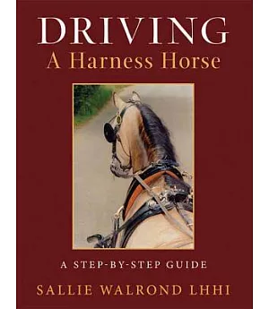 Driving a Harness Horse: A Step-by-Step Guide