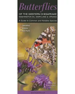 Butterflies of the Western Chesapeake - Washington Dc, Maryland & Virginia