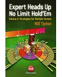 Expert Heads Up No Limit Hold’em Play: Strategies for Multiple Streets