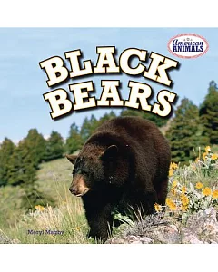 Black Bears