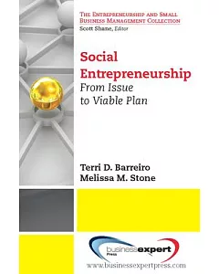 Social Entrepreneurship: From Issue to Viable Plan