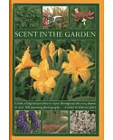 Scent in the Garden: Create a Fragrant Paradise to Enjoy Throughout the Year, Shown in 100 Stunning Photographs