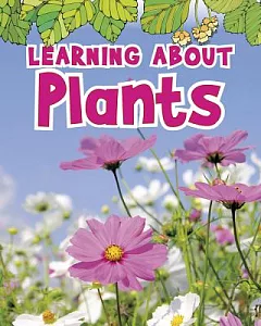 Learning About Plants