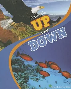 Animals Up and Down